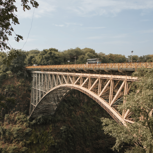 activity-synopsis-885-by-828-4-qnlv7jey9vq2fbr47c8ruju1l4k7bx1ftsbh6f8tbk (1)