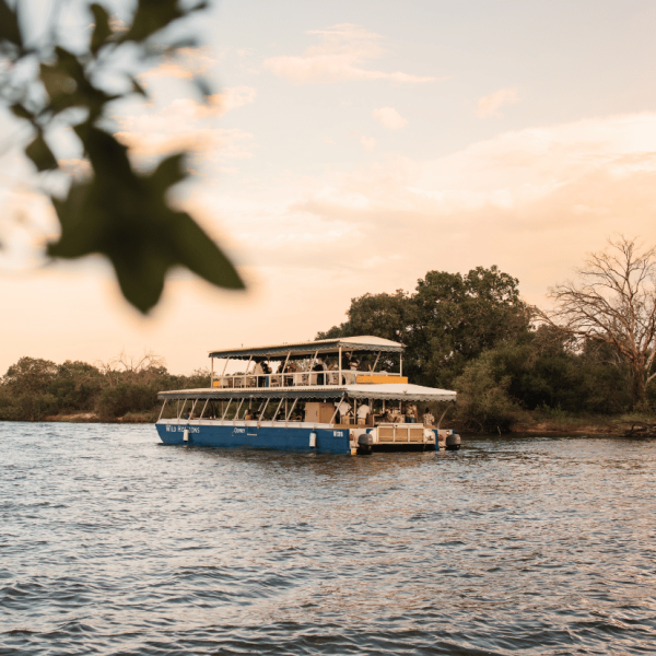 activity-synopsis-885-by-828-91-qo3hmghcu0hcdoy6yl6f289c0afsrjyojxrfozr3hs