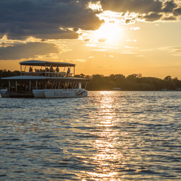 activity-synopsis-885-by-828-94-qo3hn9mcpvl8dlrv8frupiwmf8g6e66czxzhkkjw4w